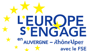 logo-EEAURA-FSE-solstice